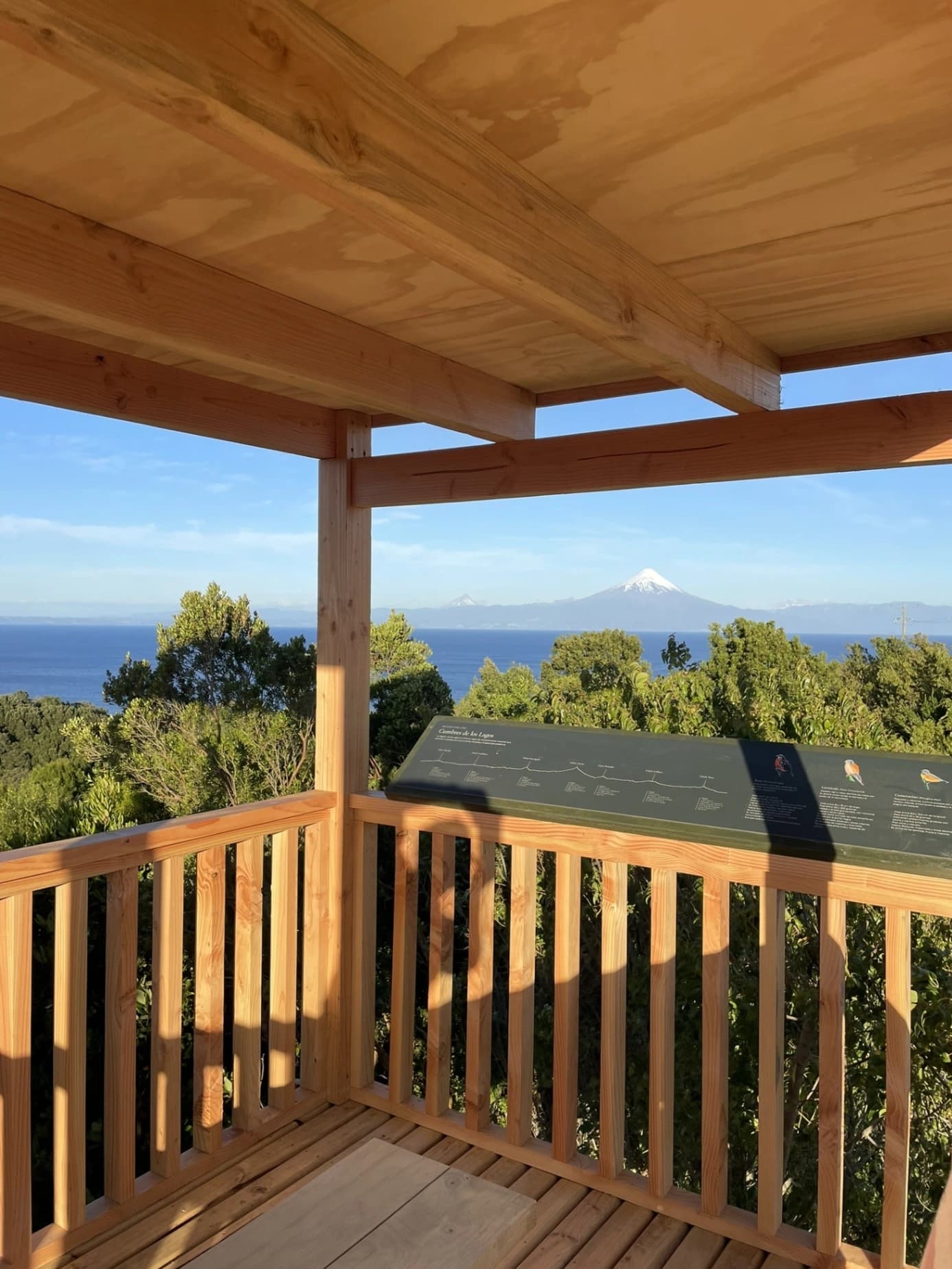 Ave Lodge - imagen 10 de 16