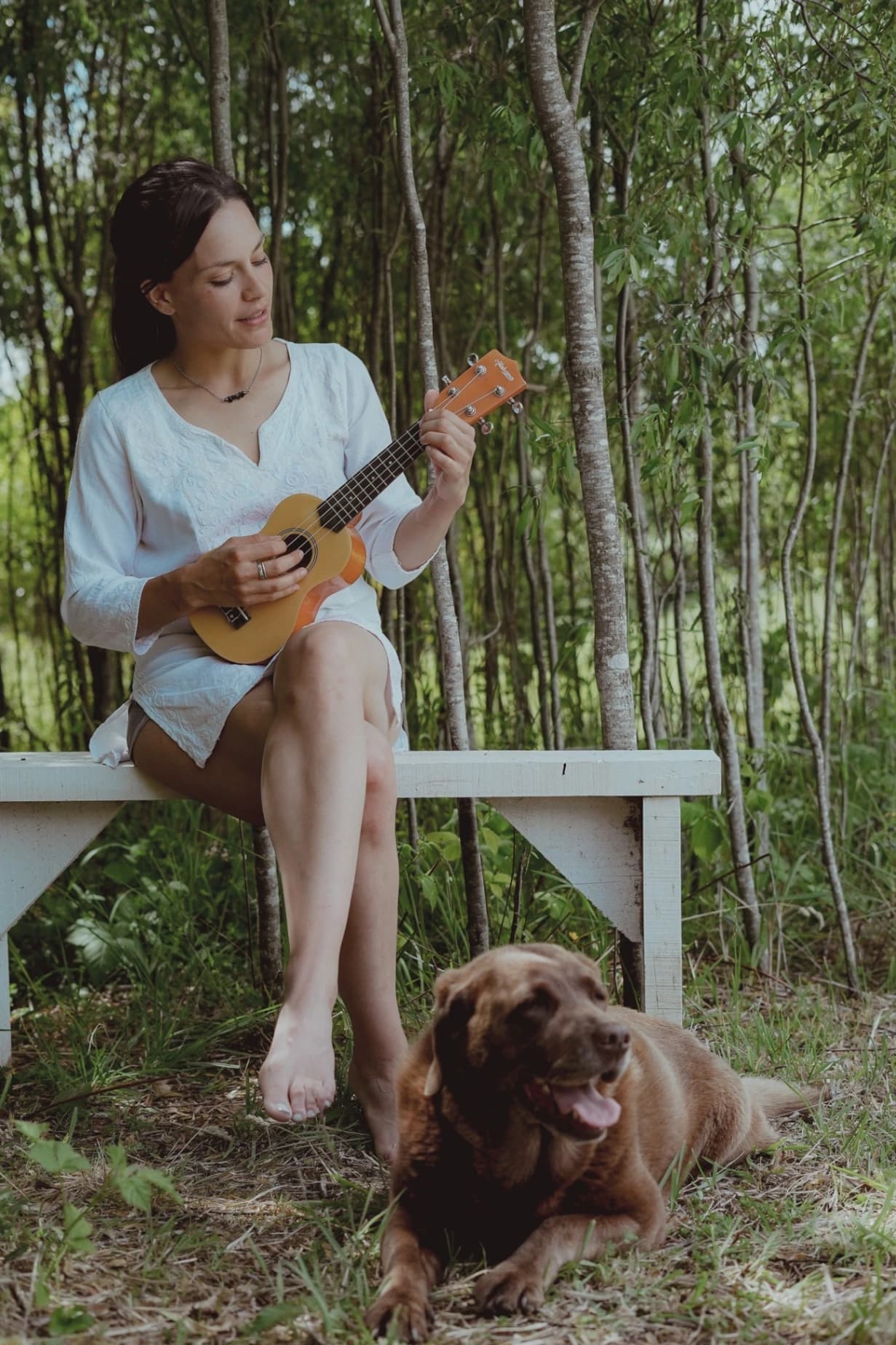 Ave Lodge - imagen 14 de 16