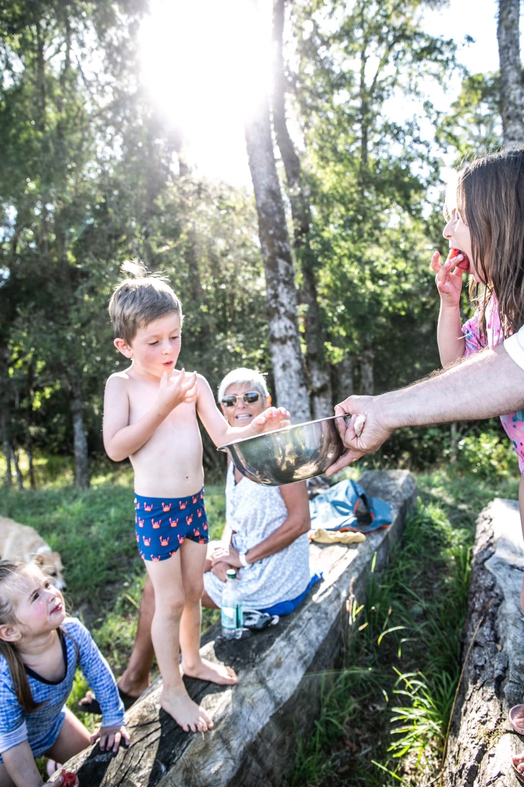 Visit Regenerative Fund - imagen 4 de 7