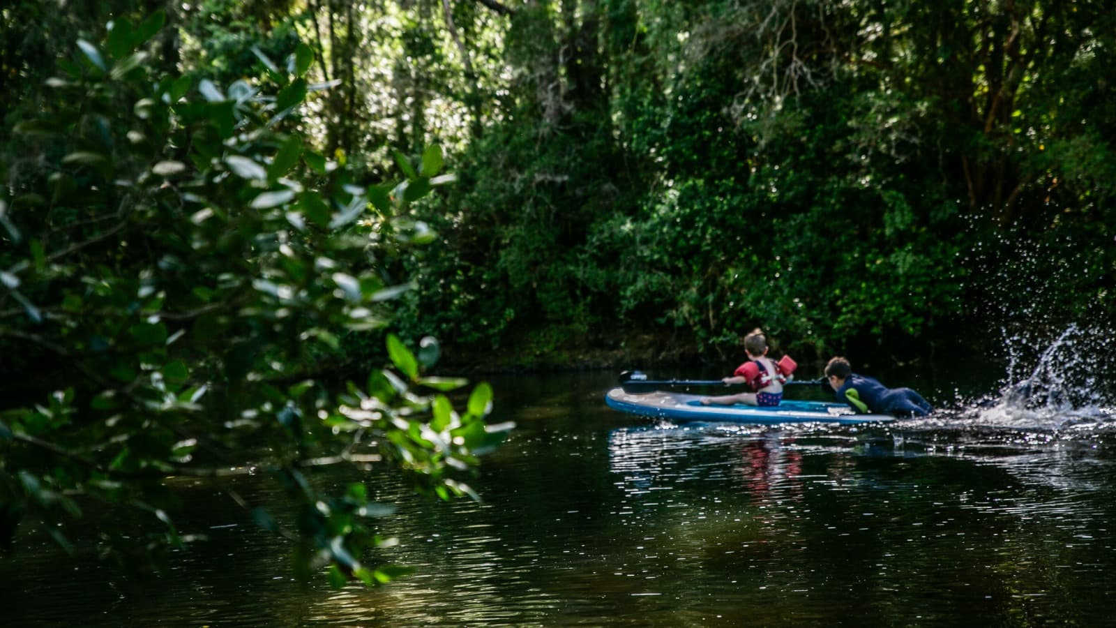 Visit Regenerative Fund - imagen 2 de 7