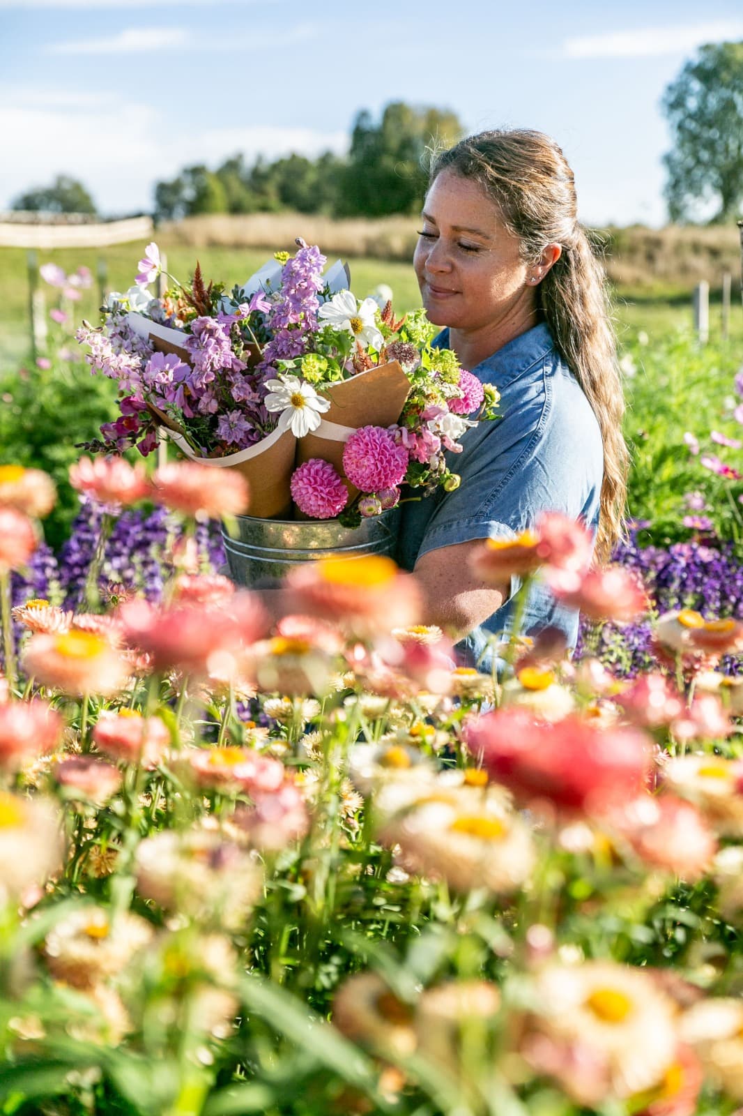 Visit Regenerative Fund - imagen 6 de 7