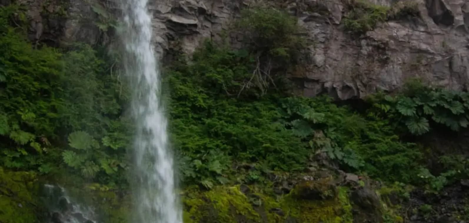 Trekking Reserva Nacional Llanquihue & Lago Chapo (Full Day) - imagen 2 de 5