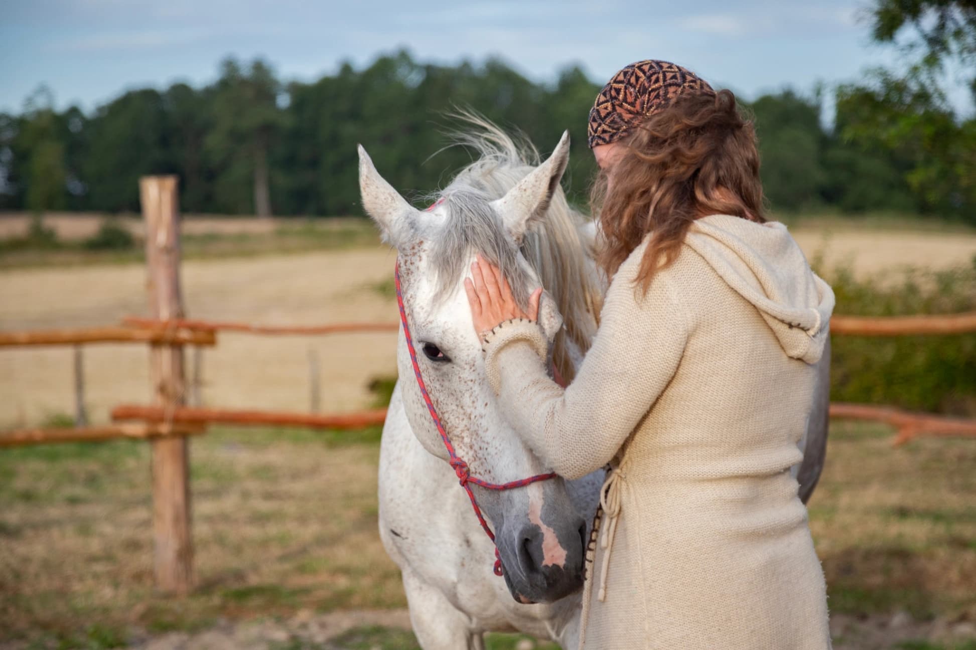 Horse Experiences - imagen 2 de 4