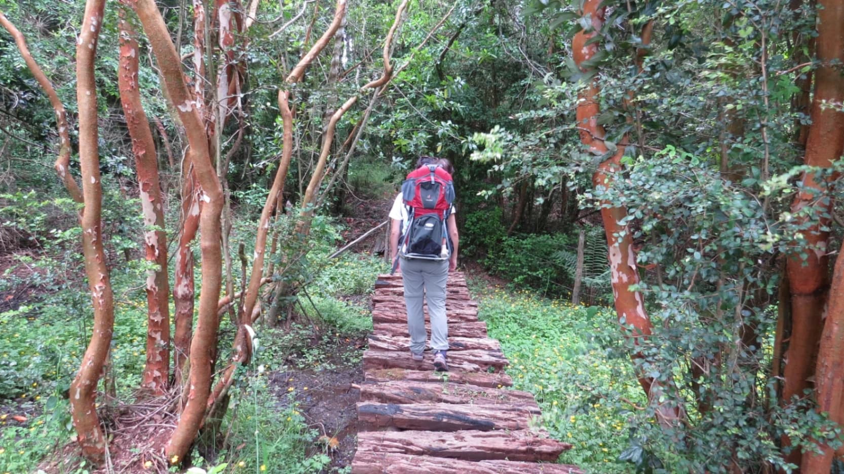 Sendor Awaken Your Senses - imagen 5 de 6