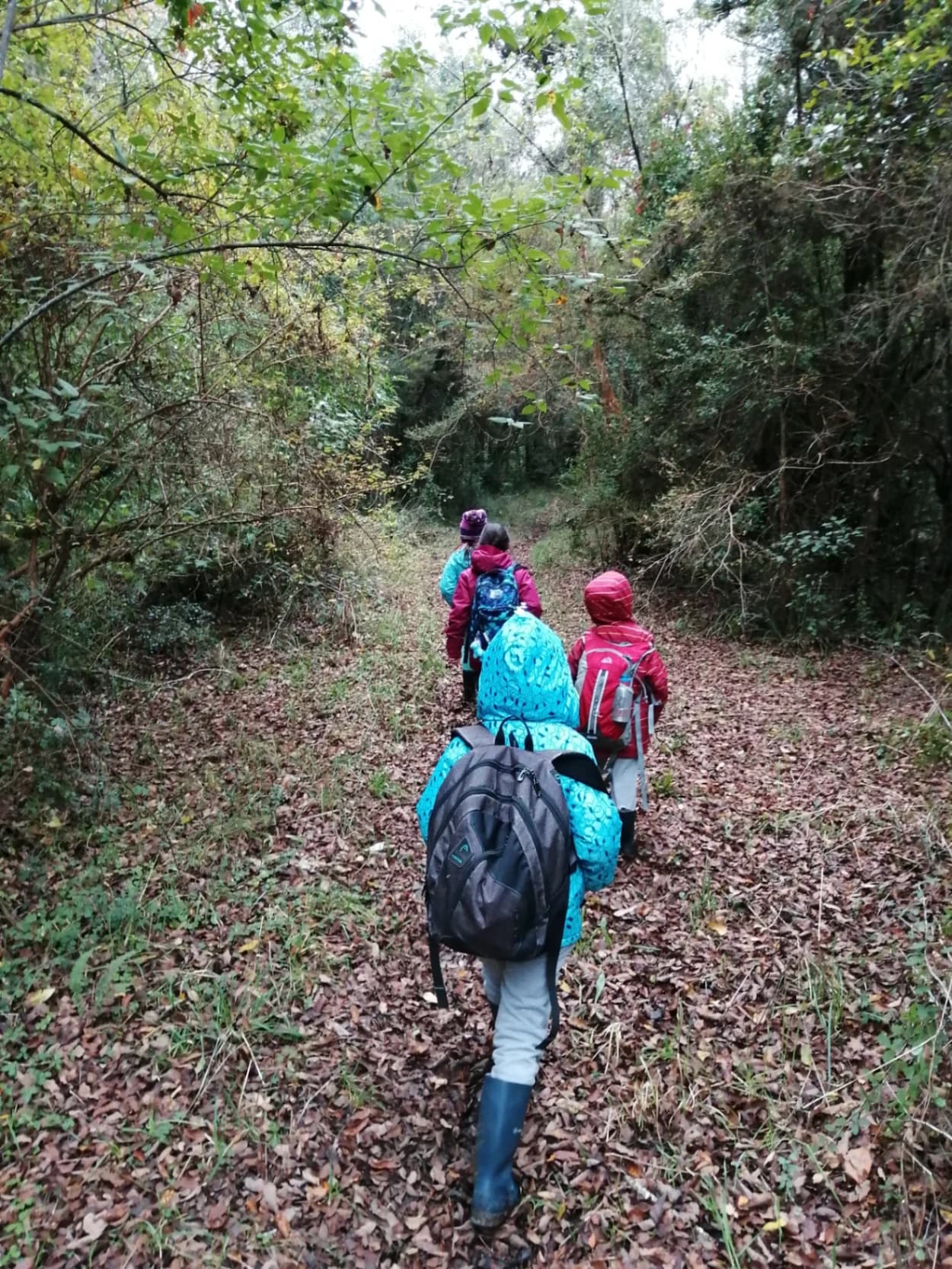 Sendor Awaken Your Senses - imagen 4 de 6