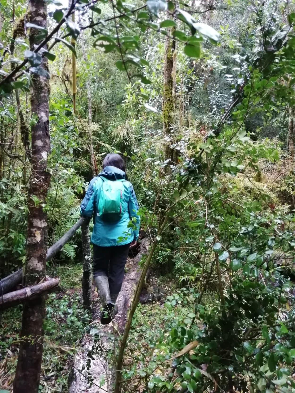 Sendor Awaken Your Senses - imagen 1 de 6