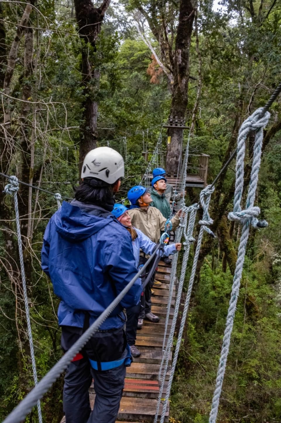 Arborismo, Parque el Salto Aventura, Saltos del Río Petrohué - imagen 3 de 4